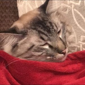 Meet your Posher, Danish